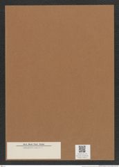 Diatomeae indet. Zeichnungen Sammlung Grunow Mappe 04973 (Herbarium_W_Grunow_drawings_Folder_04973)